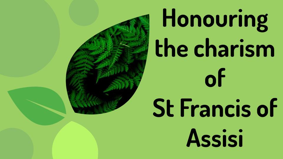 Honouring the charism of St Francis 1